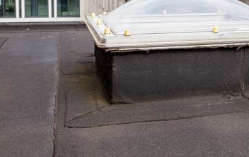 disadvantages of Percy Main flat roofs