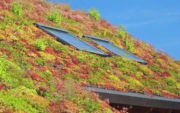 Percy Main living roof systems