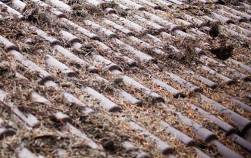 Percy Main roof cleaning companies