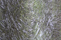 Percy Main fibreglass roof work